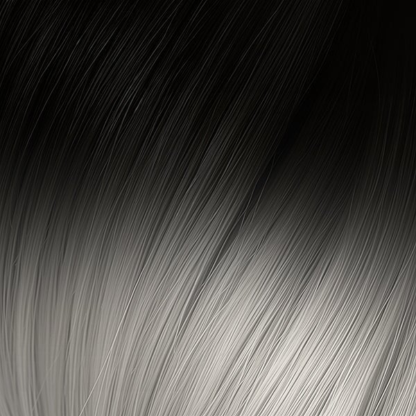 FUSION OMBRE #1B & 1006 BLACK INTO SILVER 50CM/ 20 INCHES - 20 GRAMS Fusion Euro So Cap 