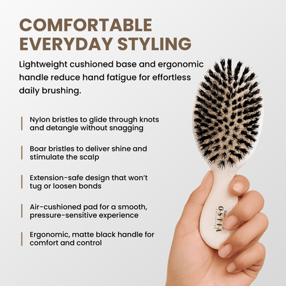 Small Mixed Bristle Paddle Brush Brushes Tony Odisho 