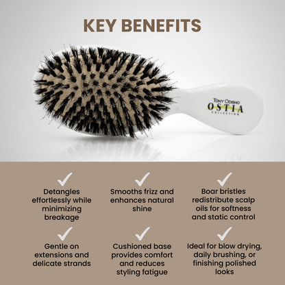 Small Mixed Bristle Paddle Brush Brushes Tony Odisho 