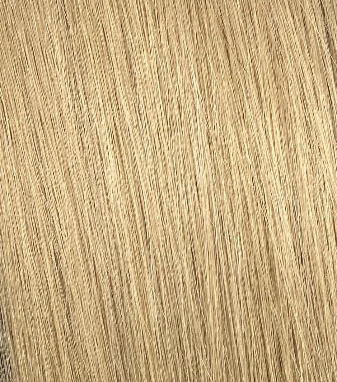 Double Weft #24 - 20 Inches - Ash Blonde - 60 Grams